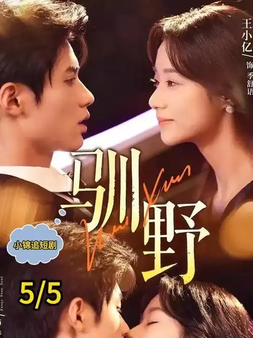 汤姆影院悬疑家庭剧河对岸的灯塔海报